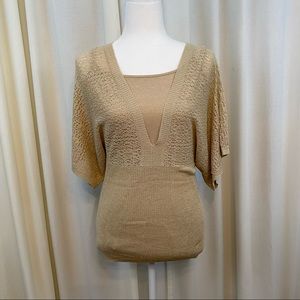EXPRESS gold shimmer v-neck sweater with matching tank